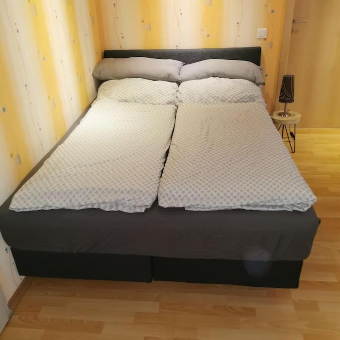Fewo Albrecht Direkt Am Diemelsteig Diemelsee 외부 사진